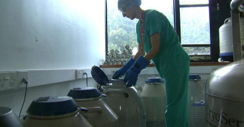 Alabama hospital pauses IVF treatment after embryo ruling