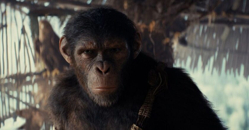 Watch every Planet of the Apes film on TV and streaming | Films | Entertainment
