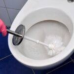 How to clean toilet properly – you’ve been missing key area