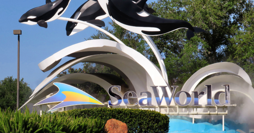 Florida woman sues SeaWorld after someone allegedly crashed into her on water slide