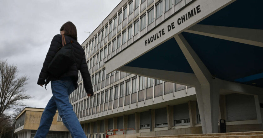 « Les politiques de différenciation entre universités, plus anciennes qu’on ne croit, ont fait émerger des projets originaux, mais aussi des inégalités injustifiées »