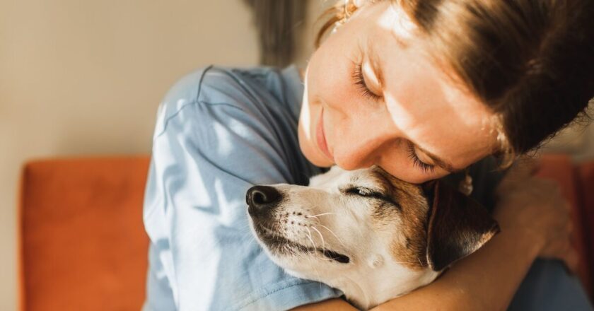 Simple way to tell if your dog views you as ‘family’ or ‘just a human’