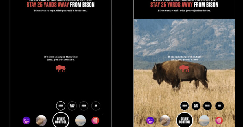Jackson Hole’s new Instagram filter warns you when you’re dangerously close to wildlife