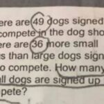 Seven-year-old’s ‘easy’ maths homework question baffles adults