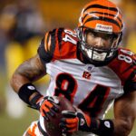 Ex-Bengals star TJ Houshmandzadeh rips refs after team’s close loss: ‘Terrible calls’