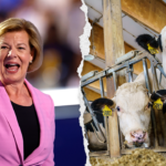 Wisconsin dairy farmer fact checks Democrat Senator Tammy Baldwin’s ‘coattail’ claim that she has their ‘back’