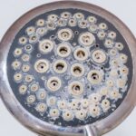 How to easily clean shower head with vinegar if you can’t remove it