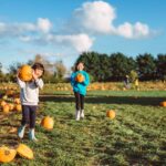 People are only just realising the truth about pumpkin picking sites and they’re outraged