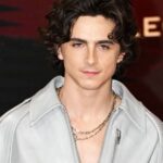 Timothée Chalamet’s ‘saddest film’ is now streaming for free | TV & Radio | Showbiz & TV