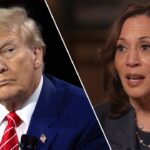 Trump, Harris’ ‘wish’ lists of ideas may boost American purses, but one policy is ‘very’ concerning: Economist