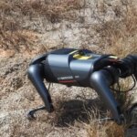 AI-powered dog robot sniffs out invasive fire ants