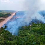 En Amazonie, la déforestation à son plus bas niveau depuis neuf ans