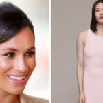 Meghan Markle’s designer pink dress has sold out – you can recreate her look for £149 | Royal | News