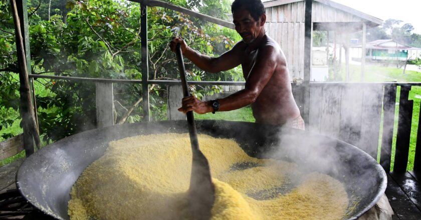 La cassave amérindienne inscrite au patrimoine mondial de l’Unesco, gage d’un « bel avenir » pour les communautés rurales des Caraïbes