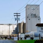 Food giant Cargill lays off thousands of workers