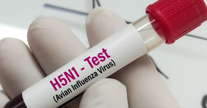 Bird flu leads to severe human illness and state of emergency
