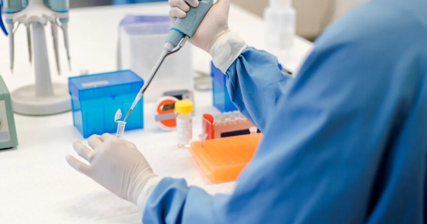 5 major Alzheimer’s discoveries scientists made in 2024