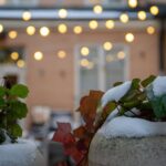 Gardening expert’s verdict on what snow actually means for garden