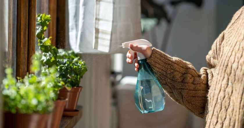 Warning issued to anyone with houseplants this winter