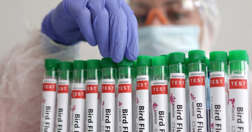 Texas officials say dead birds found in early January tested positive for bird flu