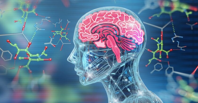 Aging ‘hotspot’ found in brain, researchers say: ‘Major changes’