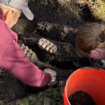 Complete mastodon jaw found in New York homeowner’s backyard: ‘Remarkable discovery’