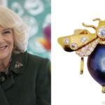 Camilla sparks frenzy with £12k bee brooch – get similar from £39 | Royal | News