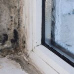 Mould on windows will disappear with 10 second method that costs £2.50