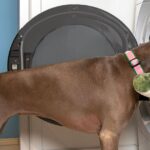 Adding hair accessory to washing machine can remove pet hair from clothes