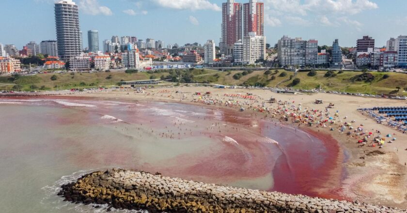 En Argentine, une « marée rouge » d’algues sur les plages atlantiques