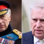 ‘Toxic’ Prince Andrew’s Epstein ties further exasperate King Charles: experts