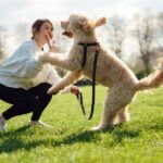 Dog trainer shares ‘simple game’ to make walks much easier