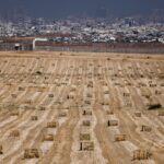 Dans la bande de Gaza, Israël détruit les moyens de subsistance de la population, de la pêche à l’agriculture