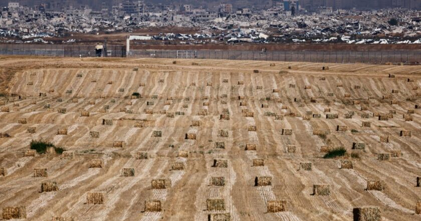Dans la bande de Gaza, Israël détruit les moyens de subsistance de la population, de la pêche à l’agriculture