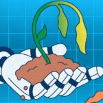 AI is ruining houseplant communities online