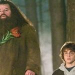 Harry Potter films boycotted over Robbie Coltrane’s controversial decision | TV & Radio | Showbiz & TV