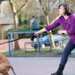 Dog trainer’s three tips to get pet to stop pulling on lead