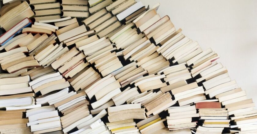 I read the world’s longest book with 1.3m words – it changed my way of thinking | Books | Entertainment