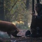 The ‘terrific’ thriller with a near-perfect 97% score on Rotten Tomato | Films | Entertainment