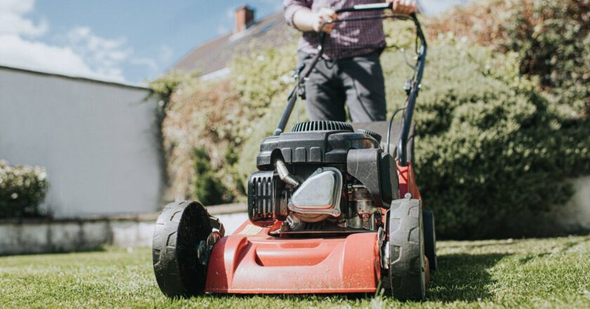 Monty Don’s advice on why to start cutting grass today
