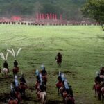The ‘best’ war film of all time is available to stream on Amazon Prime | Films | Entertainment