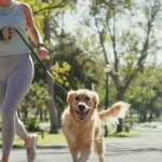 Expert’s ‘7 second rule’ to check it’s safe to walk your dog in summer