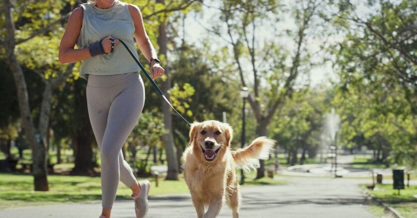 Expert’s ‘7 second rule’ to check it’s safe to walk your dog in summer
