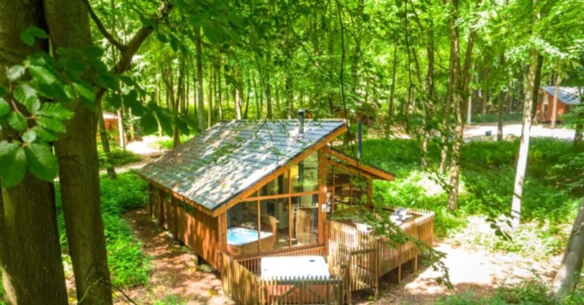 Shoppers rush to book budget-friendly minimalist break hidden in the woods