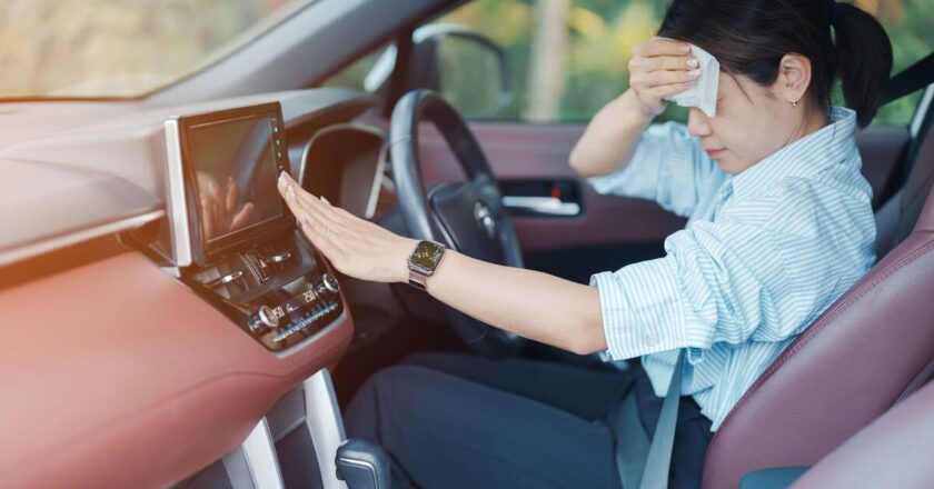 Item commonly found in car can help keep house cool in heatwave | Weather | News