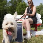 One in four dog owners admit caring for an older pet is more difficult