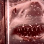 Five reasons no one thought Jaws would break cinematic records | Films | Entertainment