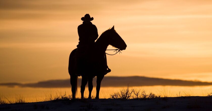 One of the ‘best Western movies of the 21st century’ is on Netflix | Films | Entertainment