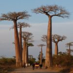 Madagascar : une destination touristique sur de bons rails