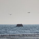 Une centaine de migrants tentant d’atteindre le Royaume-Uni secourus dans la Manche en vingt-quatre heures
